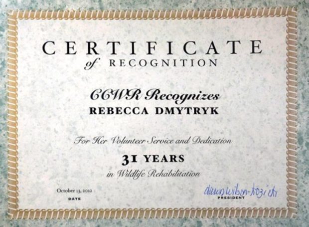 /years-service-certificate-for-template-1-large-docs