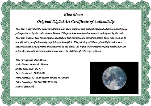 certificate-of-authenticity-printable-sample-art-certificate-authenticity