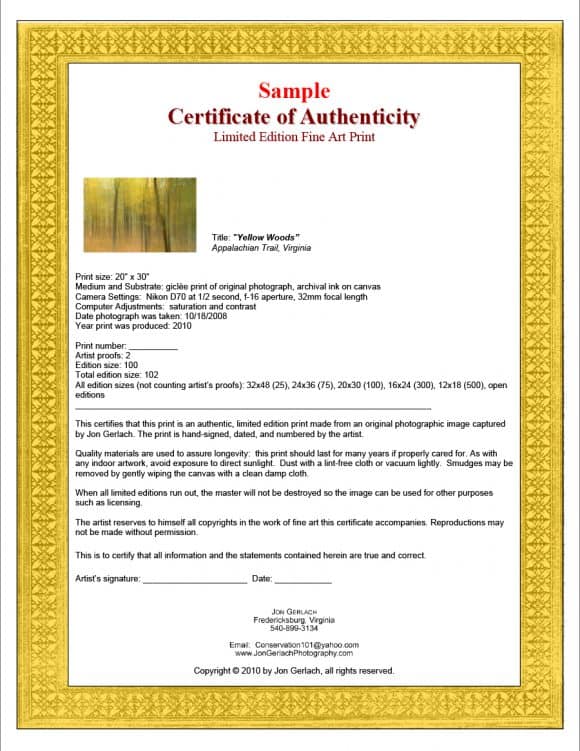certificate-of-authenticity-yellow-free-editable-template